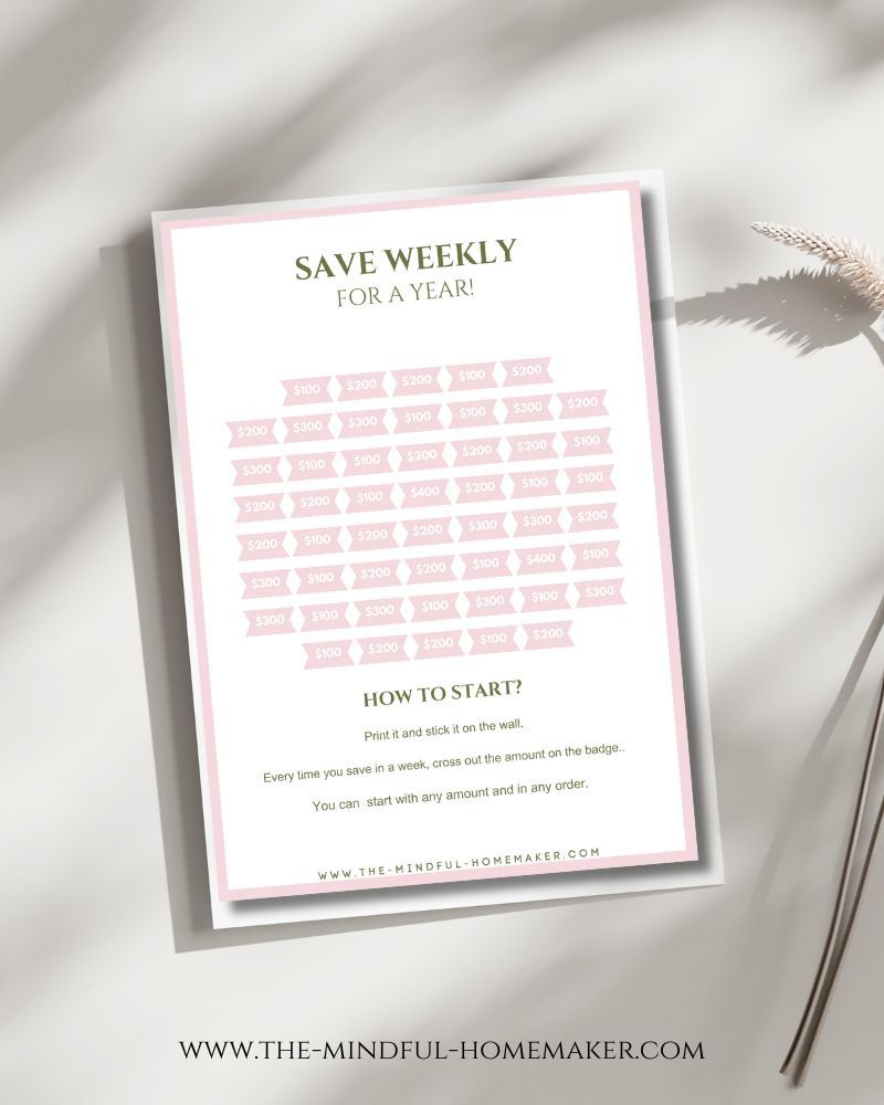 Savings Tracker minimalist aesthetic savings tracker