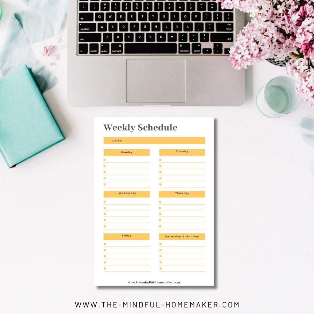 student tracker weekly printable PDF