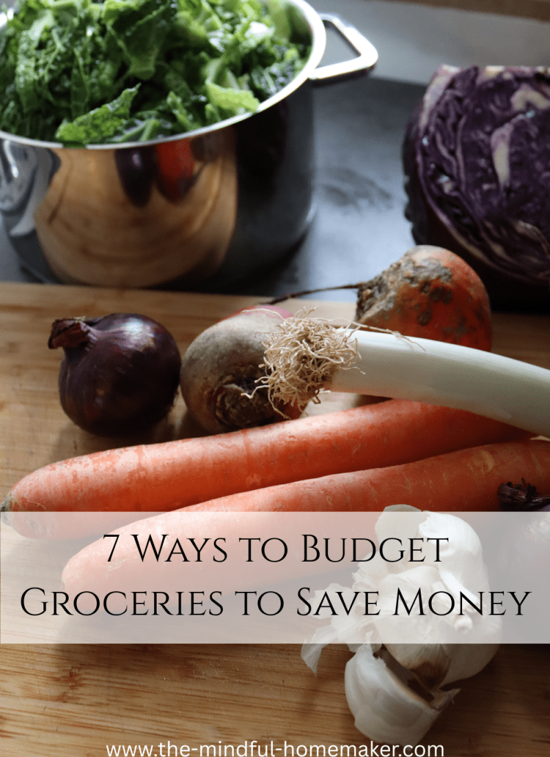 7 Ways to Budget Groceries to Save Money