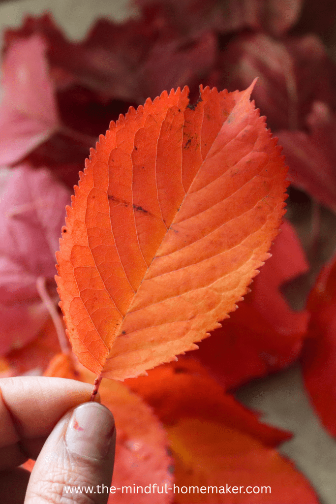 easy-to-make Autumn leaf garland Autumn Leaf garland diy