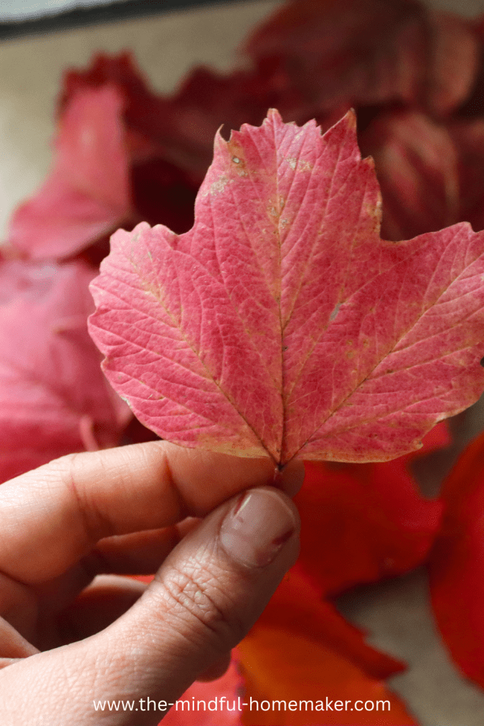 easy-to-make Autumn leaf garland Autumn Leaf garland with lights