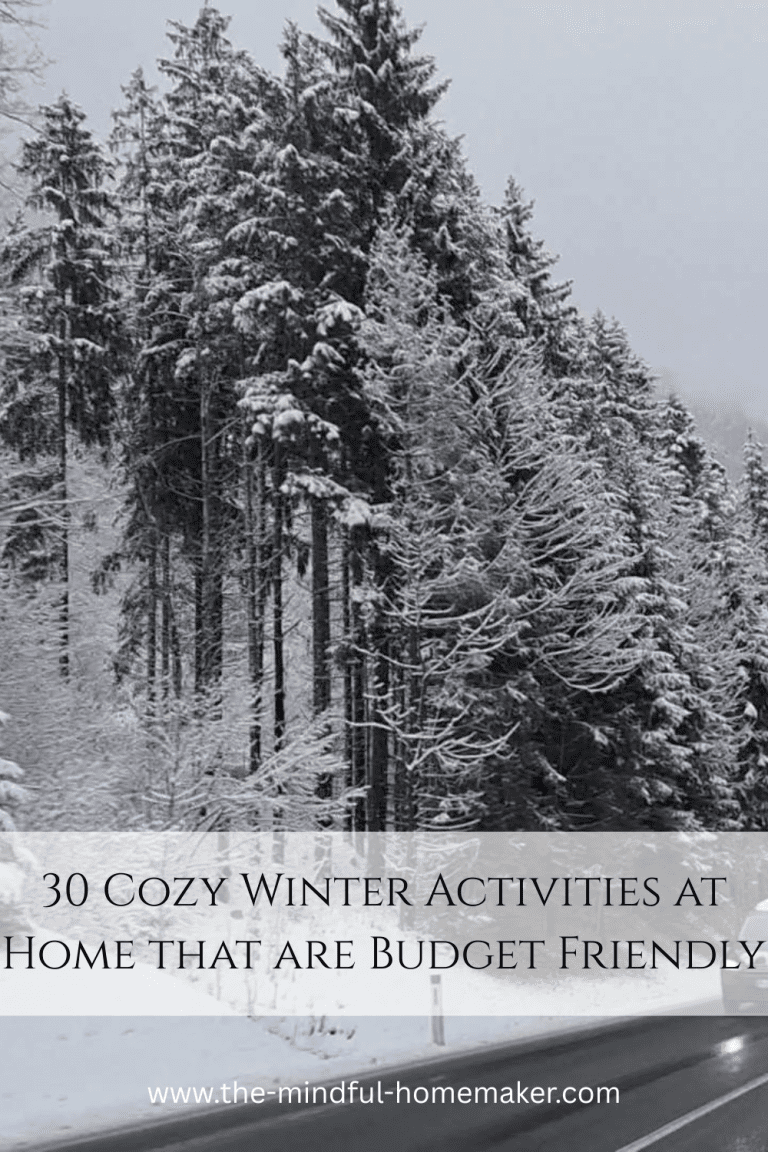 cozy winter activities