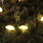 spring decor with moss