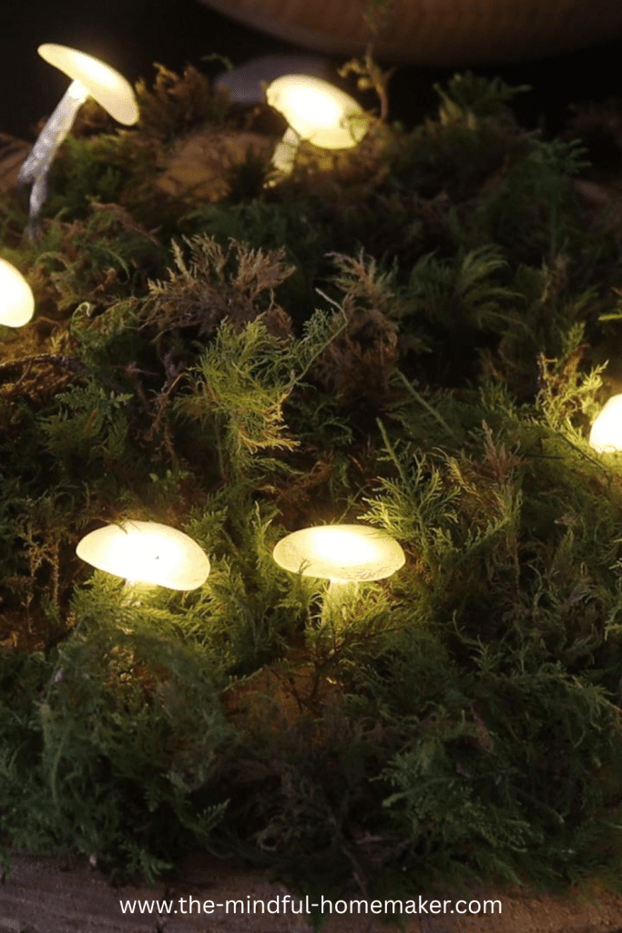 Spring Moss Decor spring decor with moss