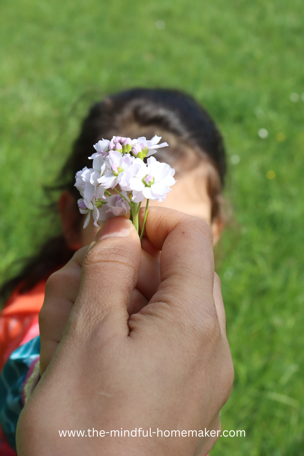 pets at home summer holidays