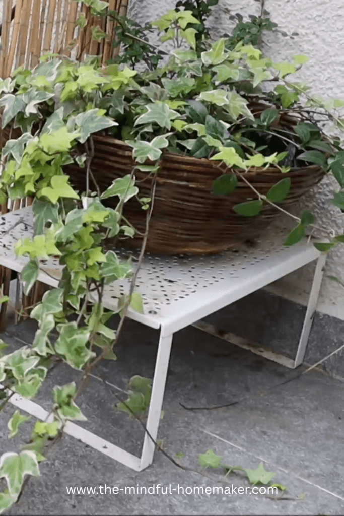 spring fairy garden for kids