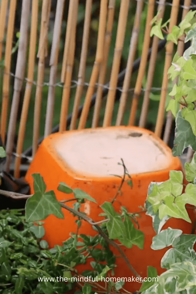 spring fairy garden magical