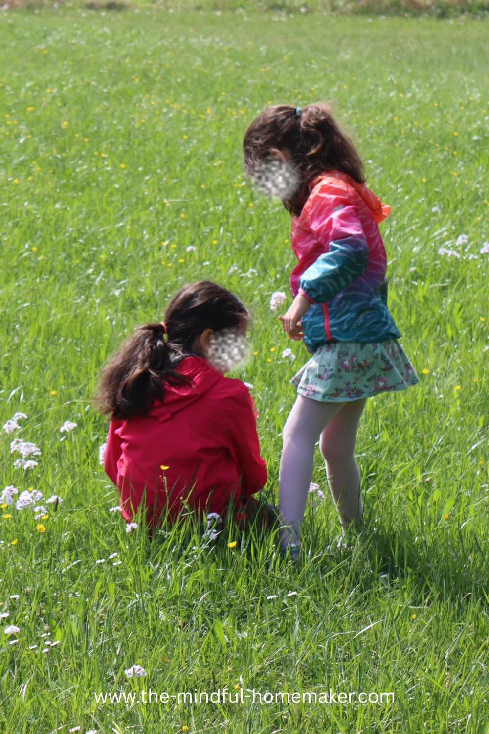 what to do at home in summer holidays