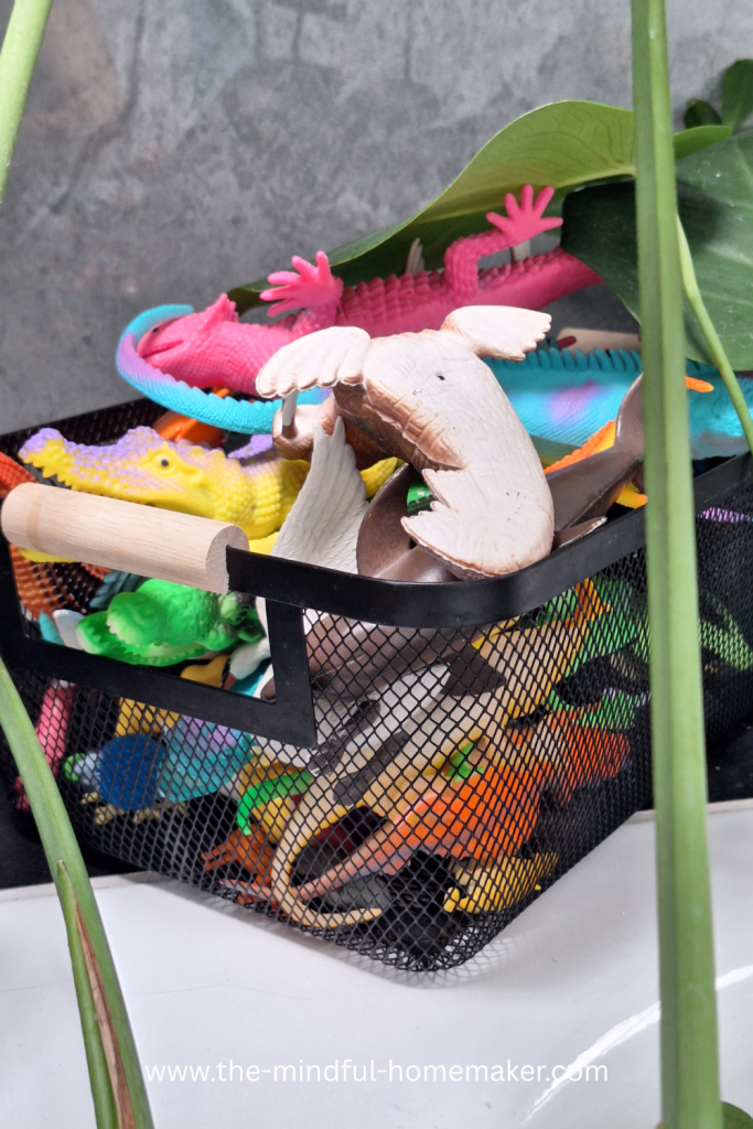 home organisation services near me