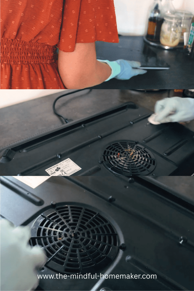 homemaking for beginners