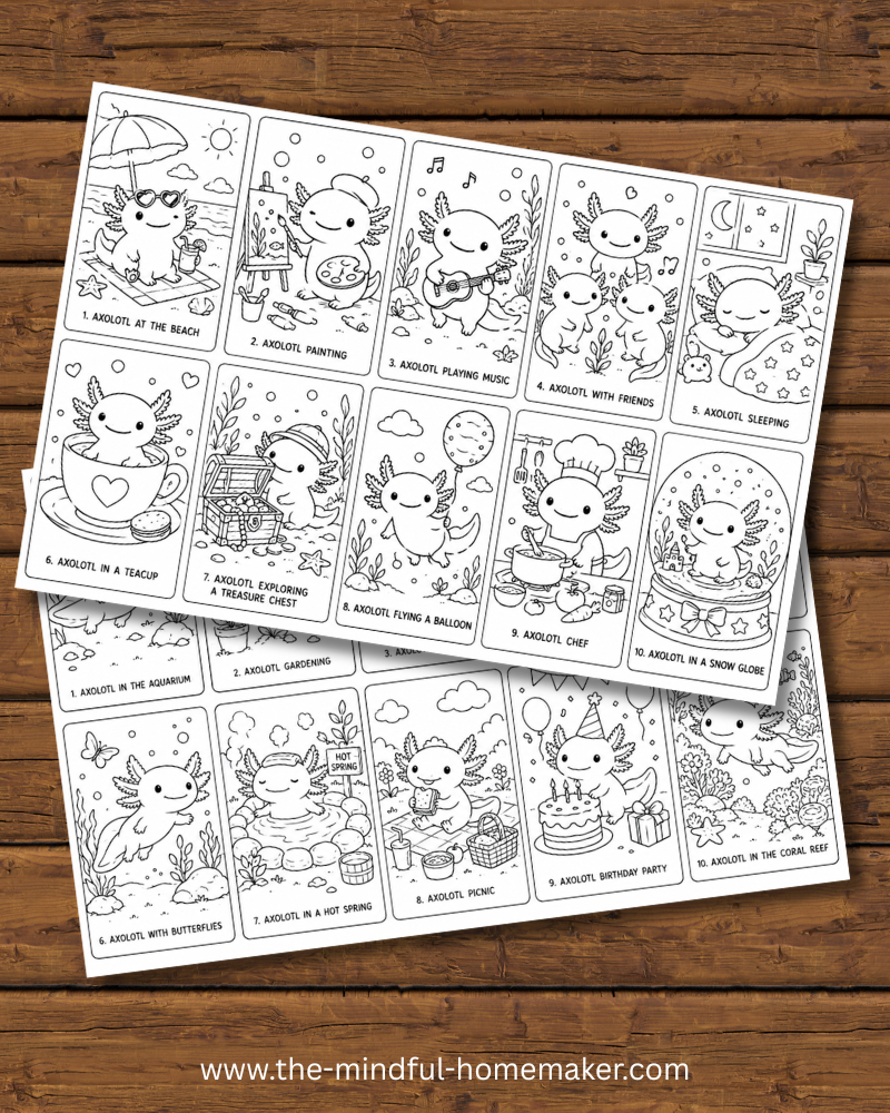 Colouring pages for kids Axolotl colouring pages
