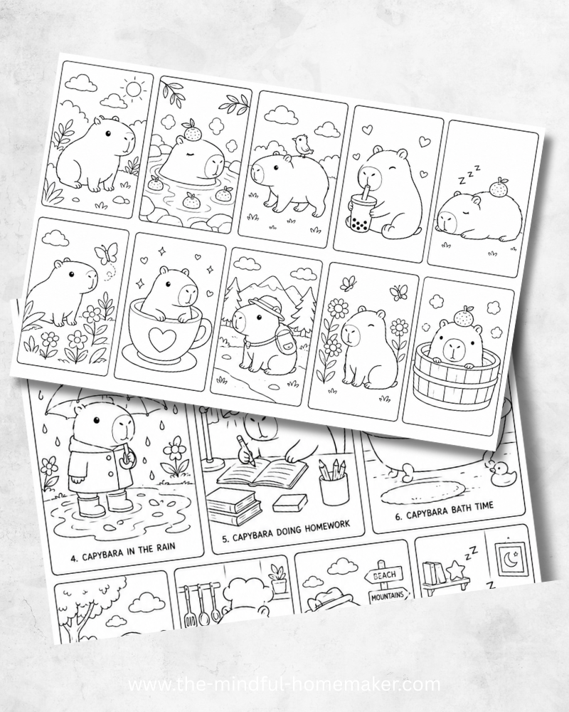 Capybara colouring pages