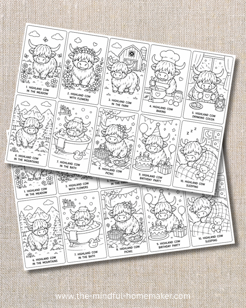 Highland cow colouring pages