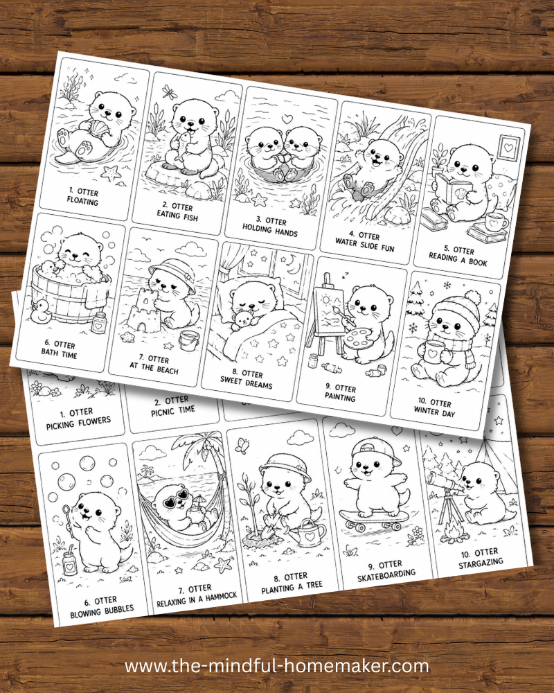 Colouring pages for kids Otter colouring pages