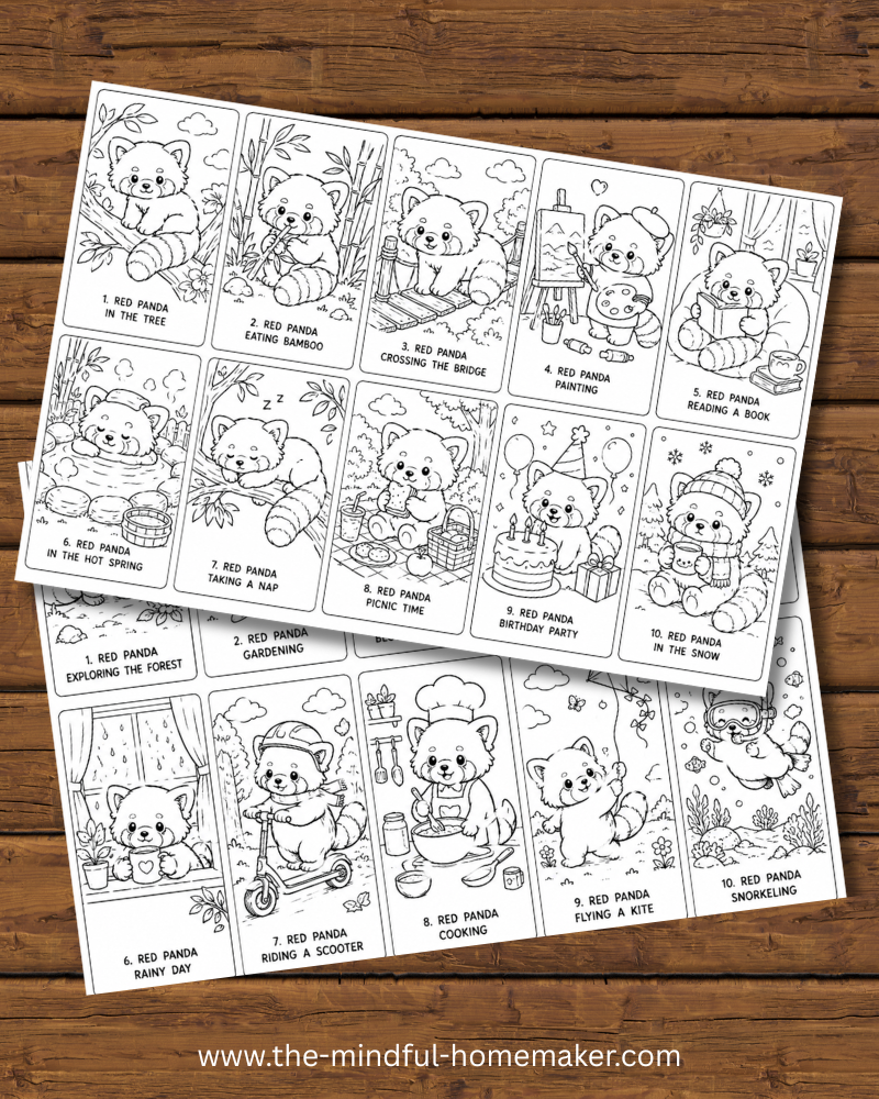 Colouring pages for kids Red panda colouring pages