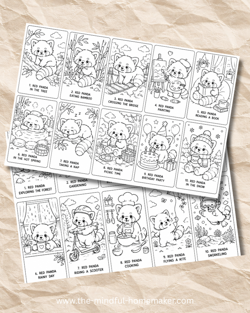 Red panda colouring pages