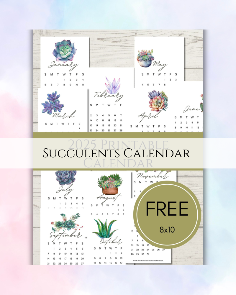 Succulents Calendar 2026