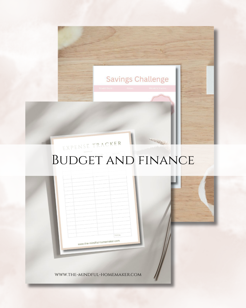 budget and finance