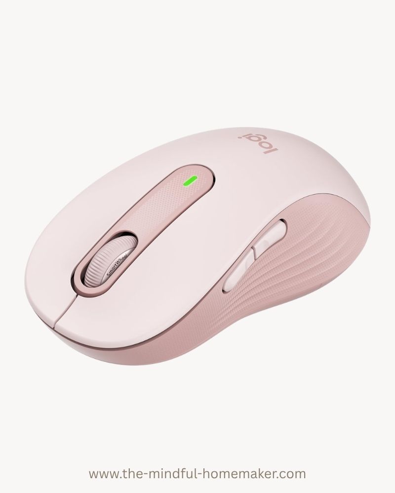 computer mouse