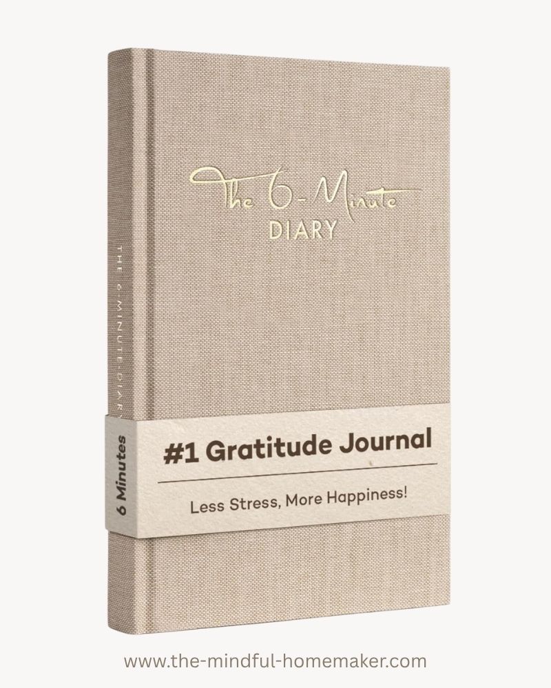 gratitude 6 minute journal