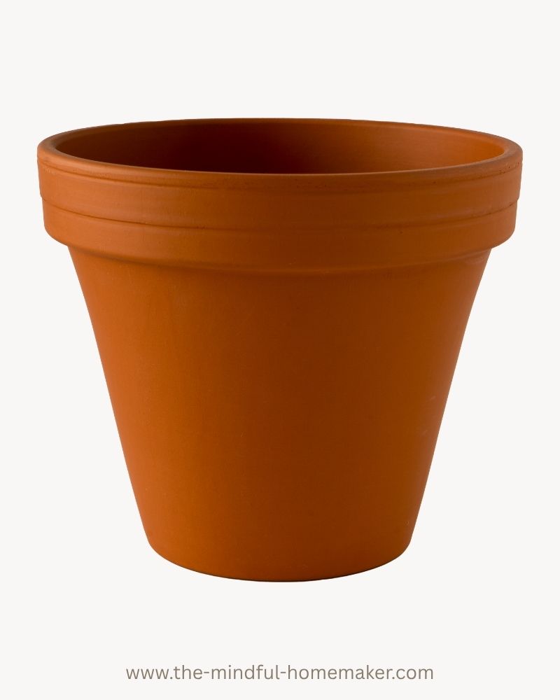 plant pots