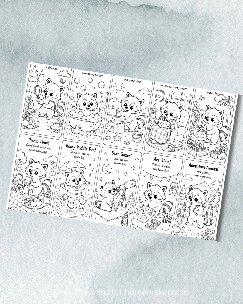 racoon colouring pages