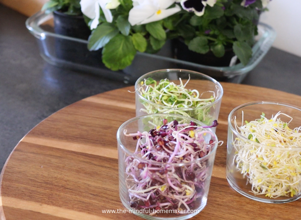 7 easy open sandwich recipes for breakfast & lunch cold sandwich ideas