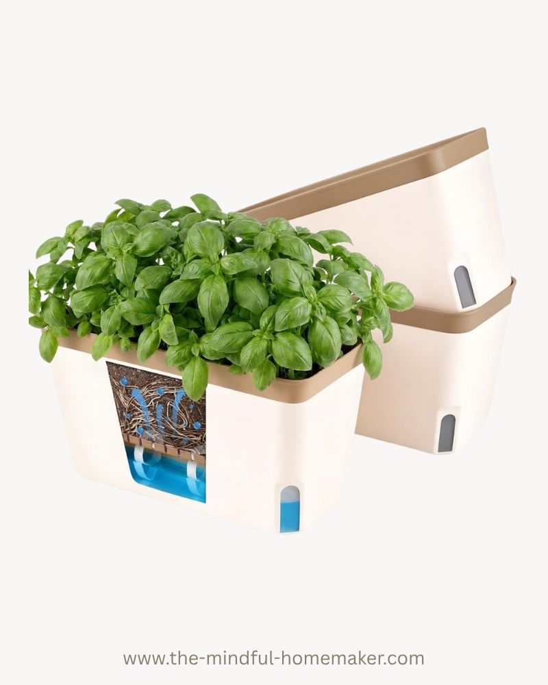 self watering containers