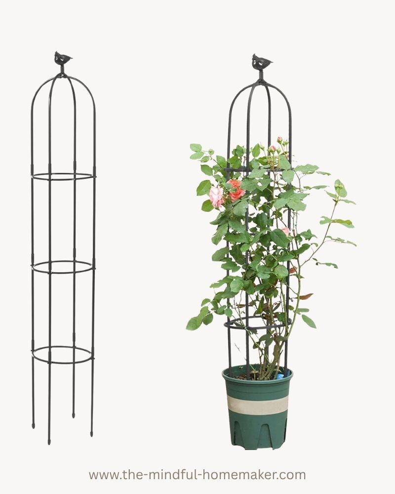 trellis