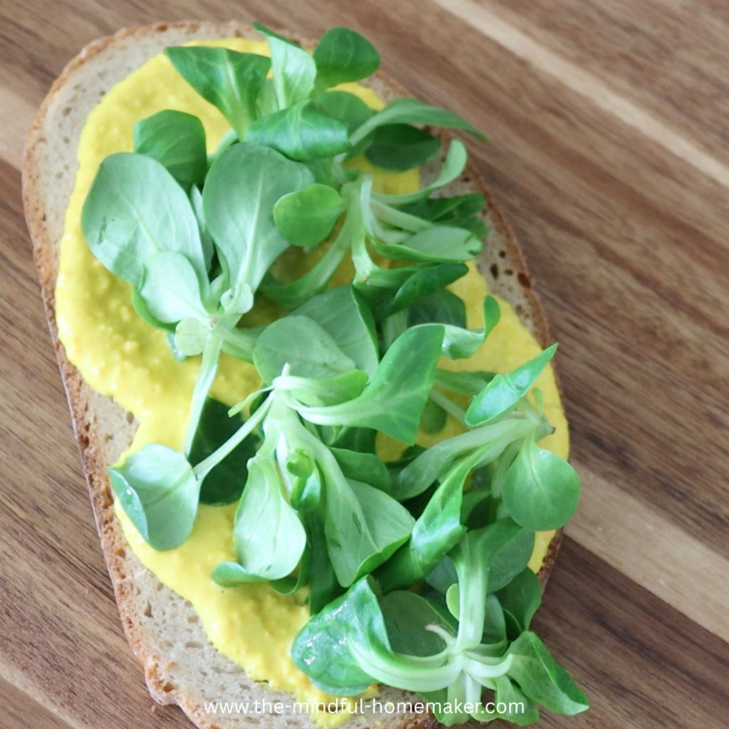 Summer Vegetarian open sandwich vegetarian sandwich ideas