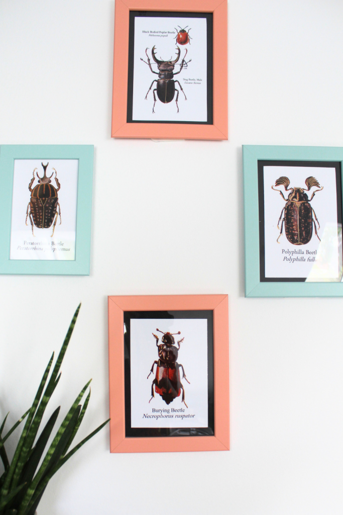 9 helpful tips for bathroom organisation Bathroom decor
