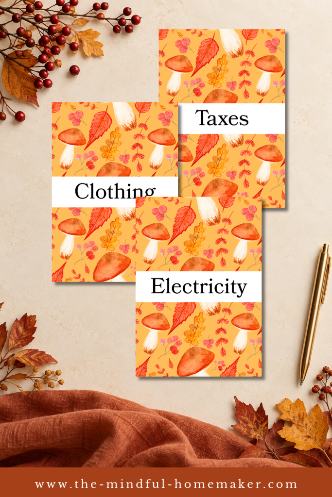 A6 vertical planner cash insert
